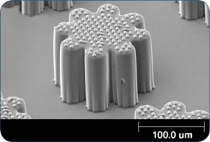 0312ptFEATUREmicromold1